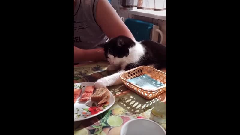 У котейки, почти получилось)
