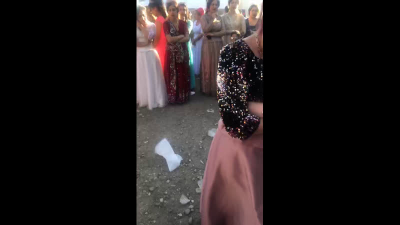 Дима Янош — Live