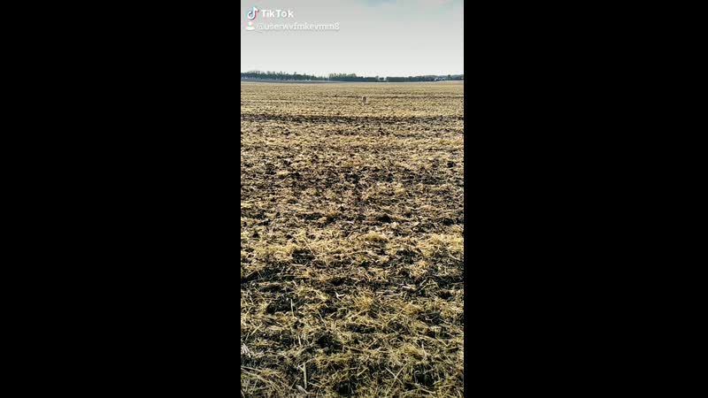 2020-08-03-174212670.mp4