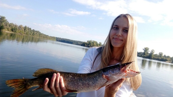 Щука обыкновенная. Девушка поймала щуку. Щука с человеческий рост. Девушка с щукой. Включи аню щук.