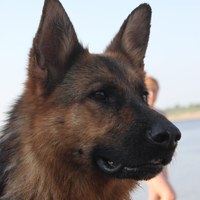 Фотография Аллы Тацуевой ВКонтакте