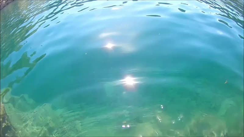 миндяк видео.mp4