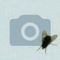 Фотография профиля Васи Васи ВКонтакте