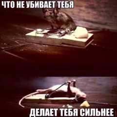 ВКонтакте: Ахат Ахаев 03.05.1996 Астрахань - профиль, анонимный анализ