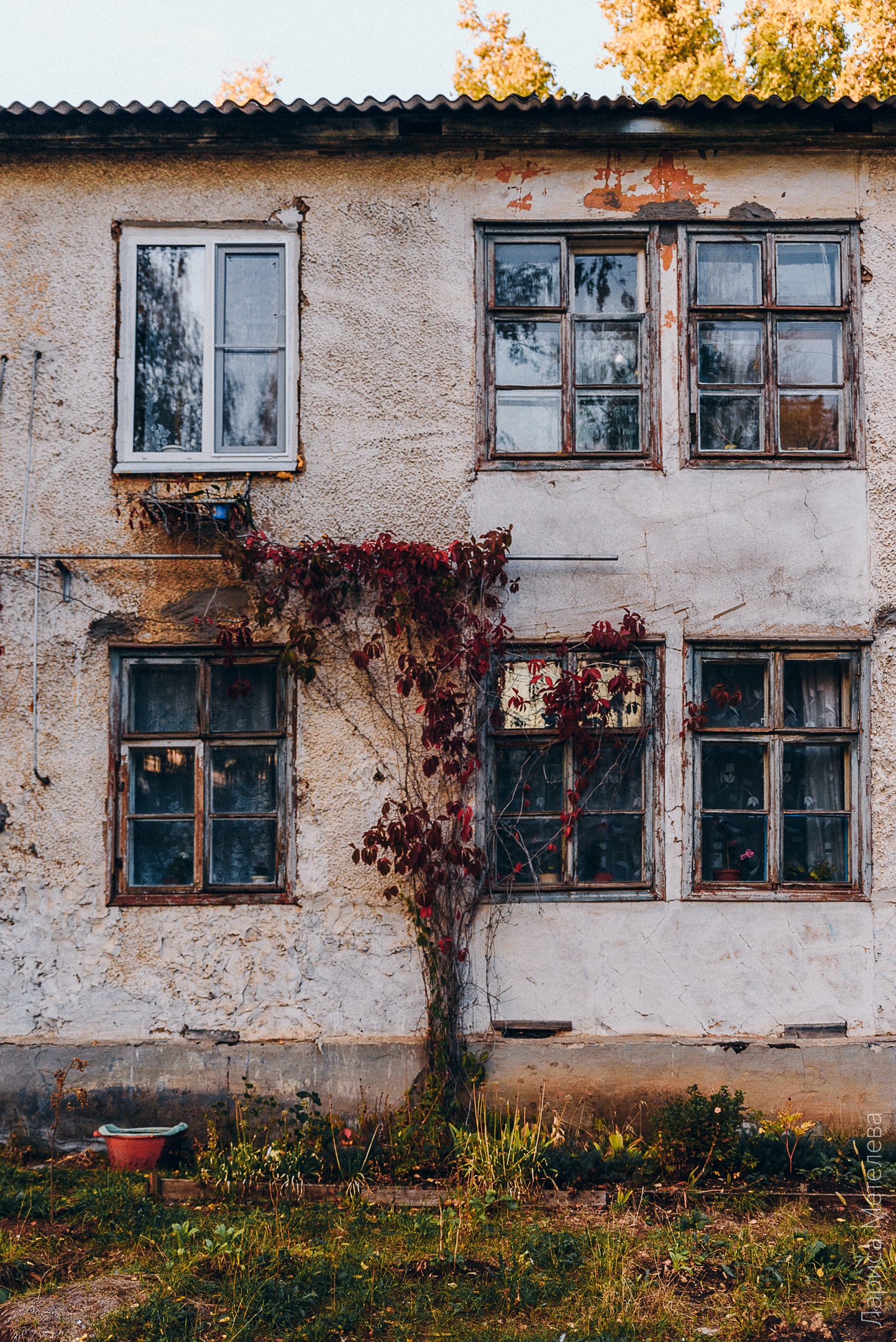 г. Чайковский